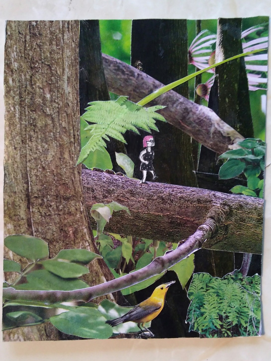 tiny faery pink hair nerd collage giant underbrush forest